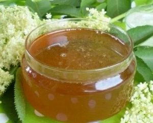 Вкуснейший мед из цветочков бузины