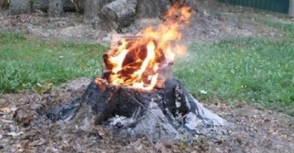 Как убрать пень при помощи огня