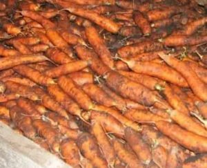 Что делать с морковью после сбора? Способы хранения на зиму