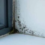 <span class="title">Почему под подоконником появляется плесень и конденсат — и как это связано с его установкой?</span>