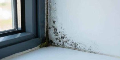 Почему под подоконником появляется плесень и конденсат — и как это связано с его установкой?