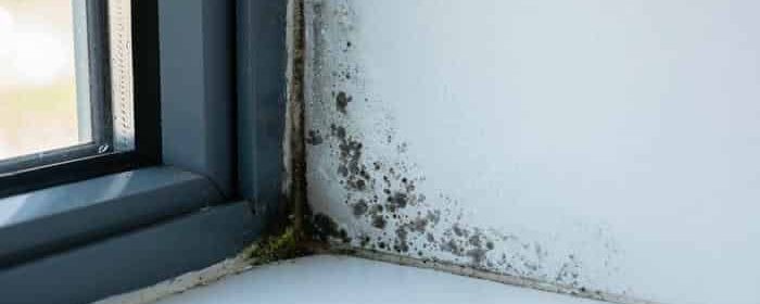 Почему под подоконником появляется плесень и конденсат — и как это связано с его установкой?