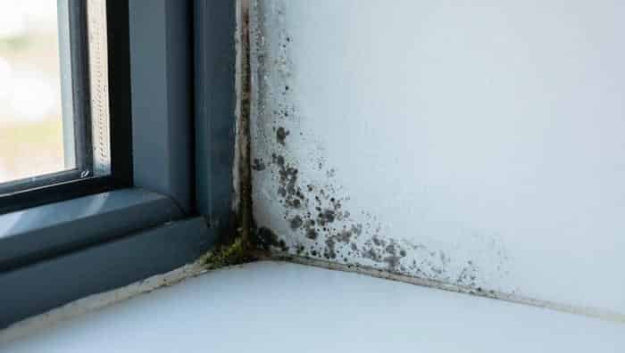Почему под подоконником появляется плесень и конденсат — и как это связано с его установкой?